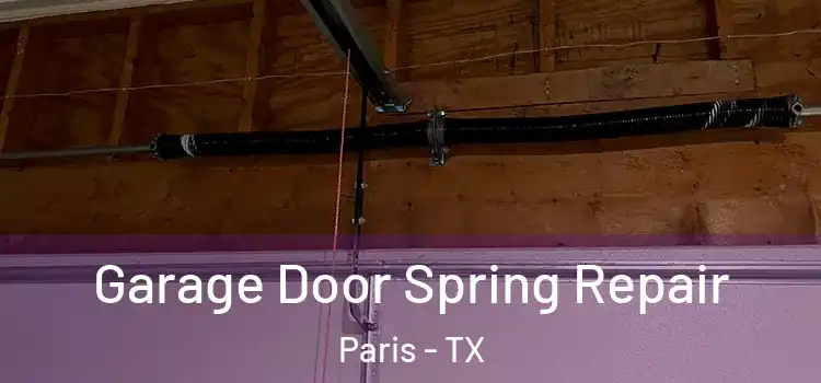  Garage Door Spring Repair Paris - TX