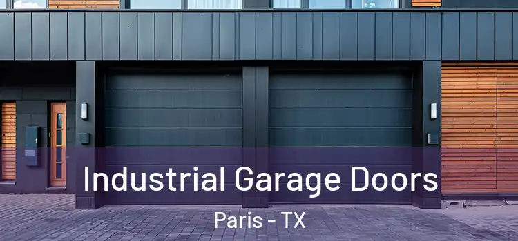  Industrial Garage Doors Paris - TX