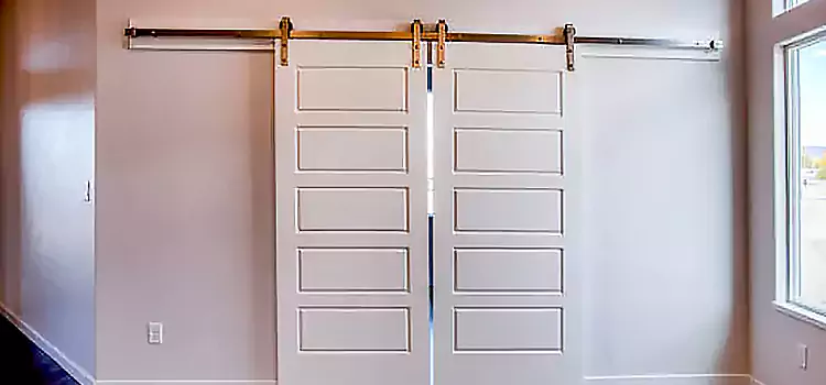 Glass Barn Door with Installation Hardware Kit Paris