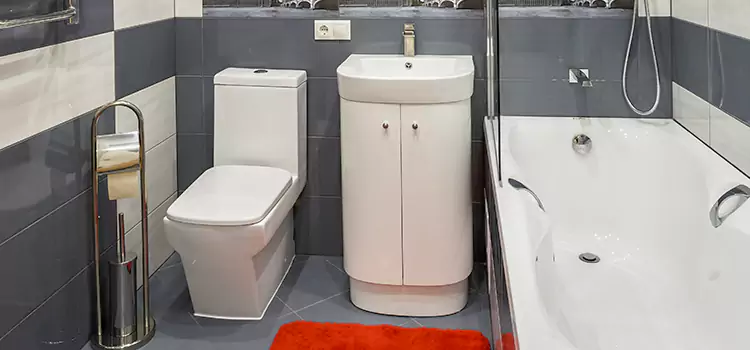 Hansgrohe Shaving Mirror Paris